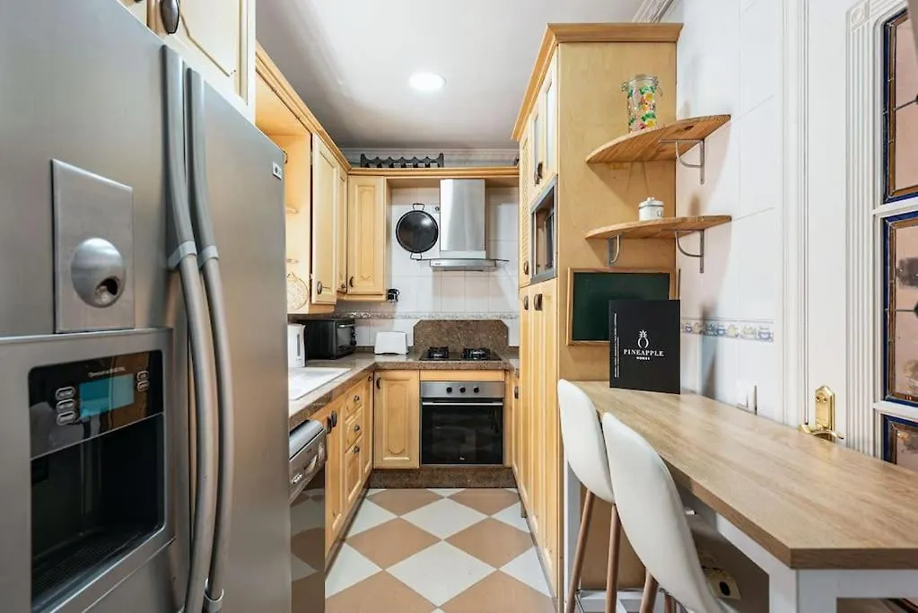 Appartamento Pineapple Ollerias 27 Duplex With Great Terrace And Parking Málaga