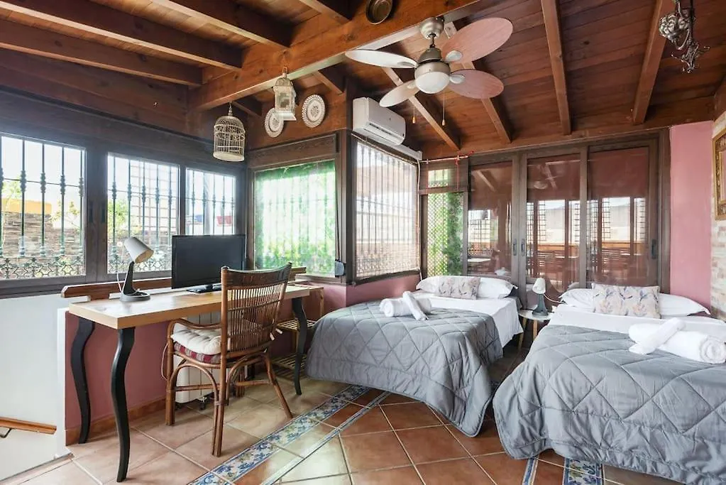 Pineapple Ollerias 27 Duplex With Great Terrace And Parking Lejlighed Málaga Spanien