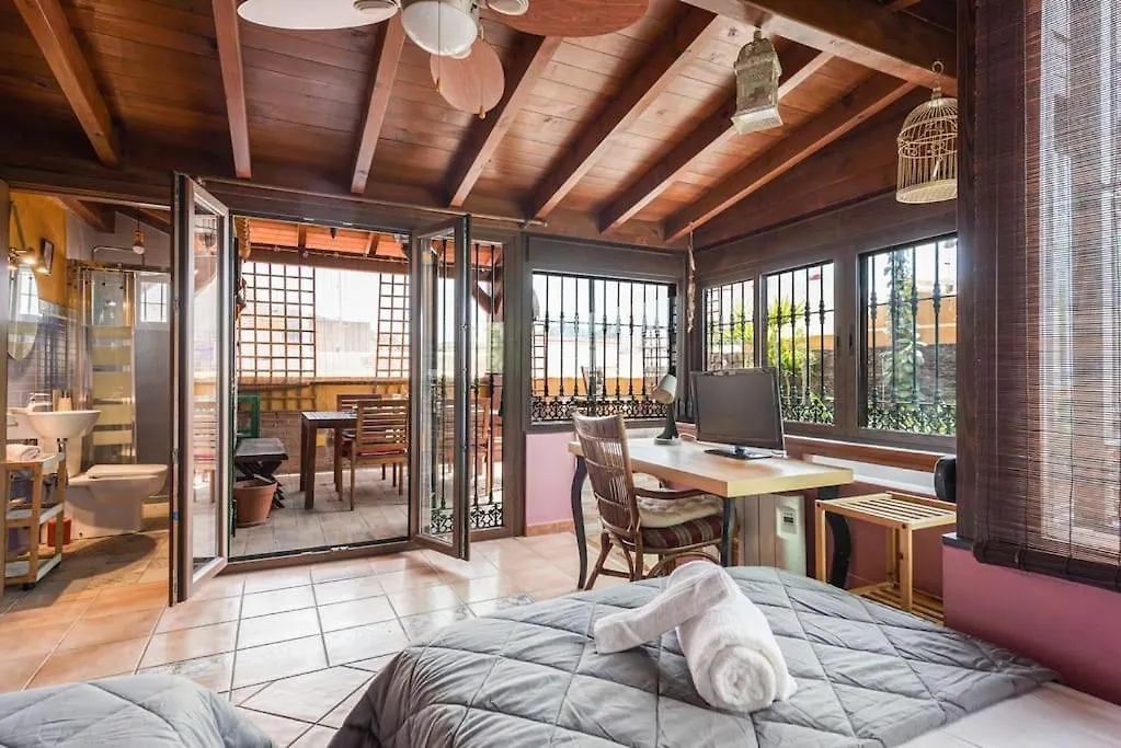 Pineapple Ollerias 27 Duplex With Great Terrace And Parking Lejlighed Málaga Spanien